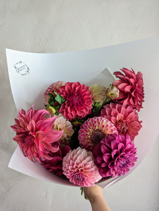 Delightful Dahlias