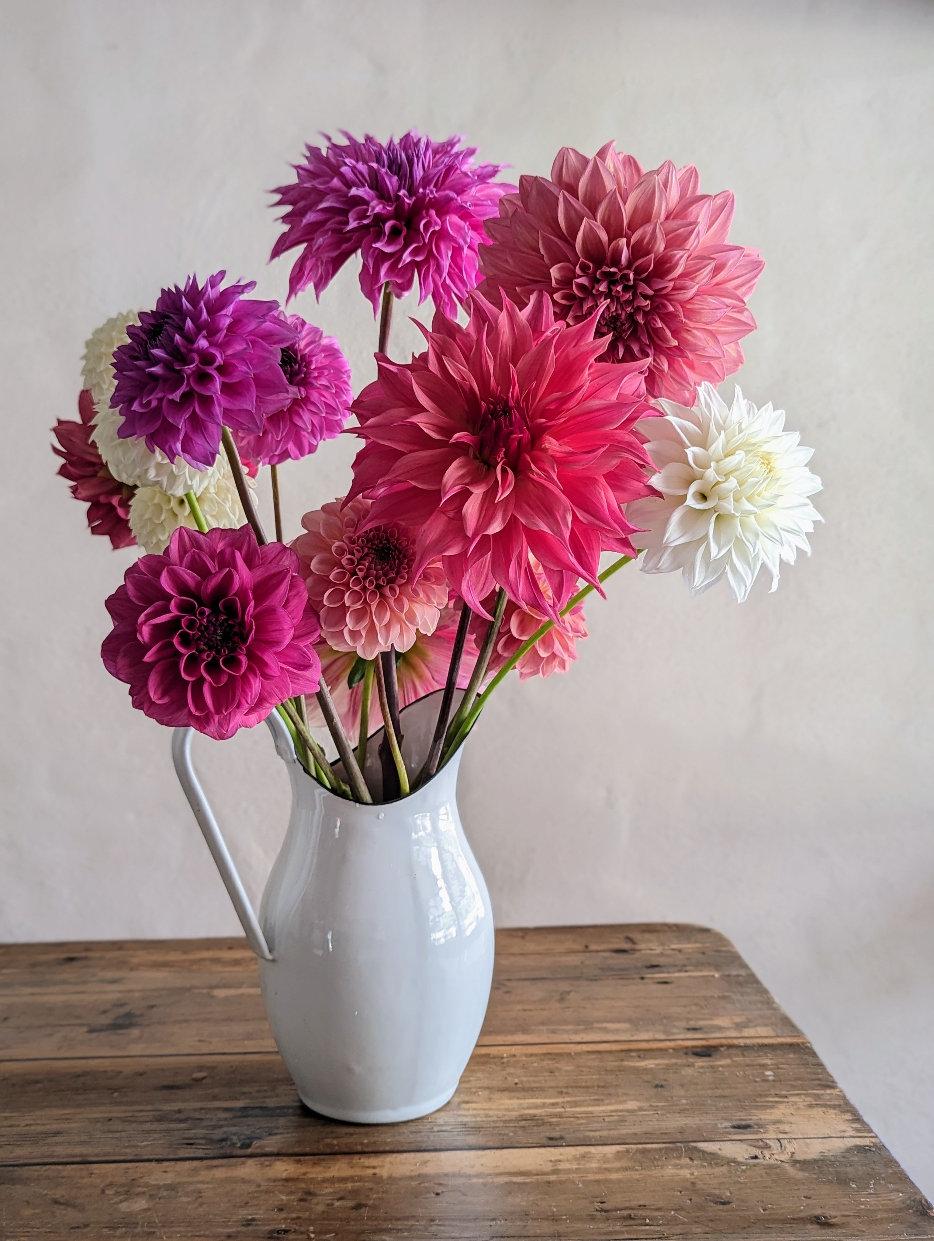 Delightful Dahlias Woodend Flower Farm