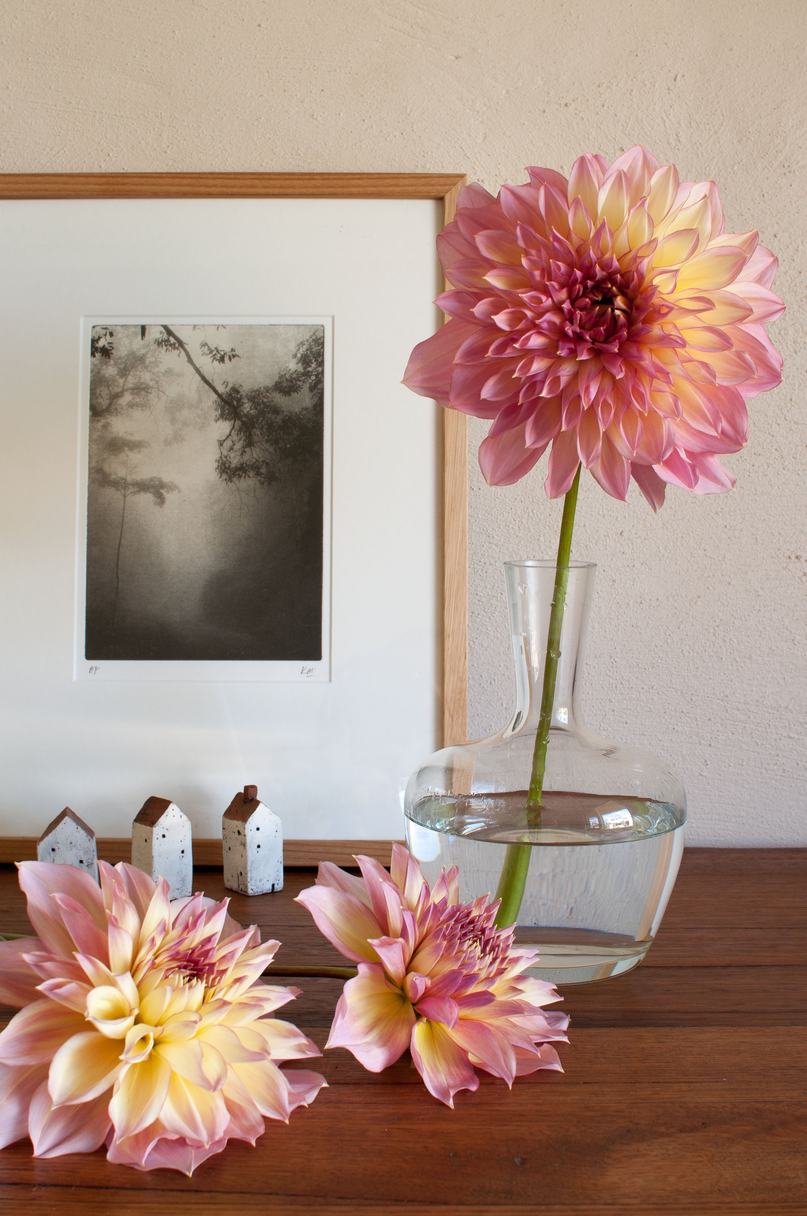 Kotara Woodend Flower Farm